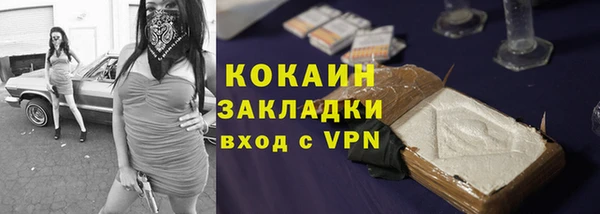 тгк Абаза