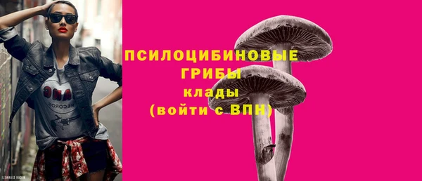 тгк Абаза