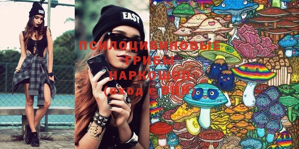 PSILOCYBIN Абинск