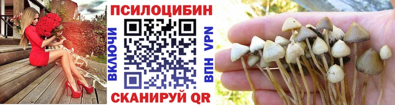 купить  сайты  Щёлкино  кракен ССЫЛКА  Галлюциногенные грибы ЛСД 